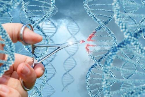 بجای تحقیقات اصولی در ژن درمانی به انتشار مقاله بسنده شد!