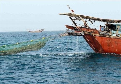 آخرین فرصت جاماندگان طرح ساماندهی قایق های صیادی در هرمزگان