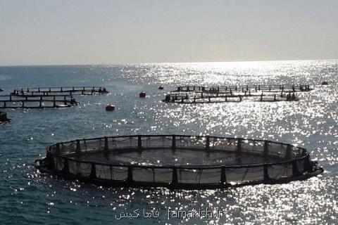 صنعت پرورش ماهی در قفس