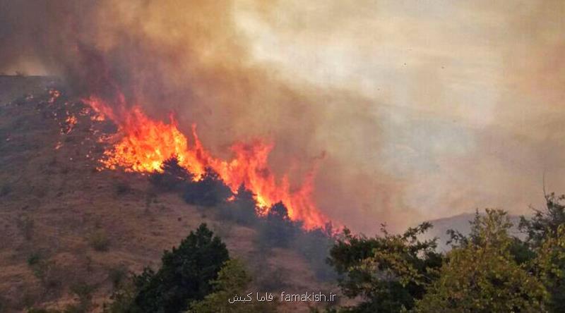 اعلام ممنوعیت ۶۰ روزه سوزاندن در جنگل های آمازون
