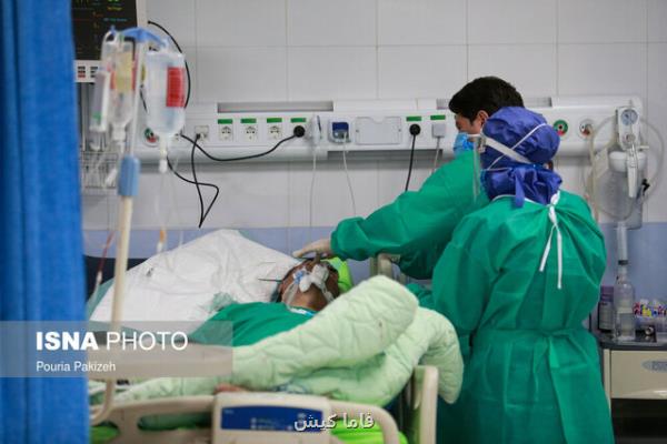 شمار جانباختگان كرونایی هرمزگان به ۱۴۵۵ نفر رسید