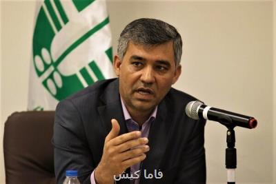 سه حکم سبز قاضی برای شکارچیان متخلف شهرستان بستک