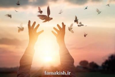 آزادی پیرمرد زنجانی محکوم به قصاص بعد از ۱۹ سال حبس