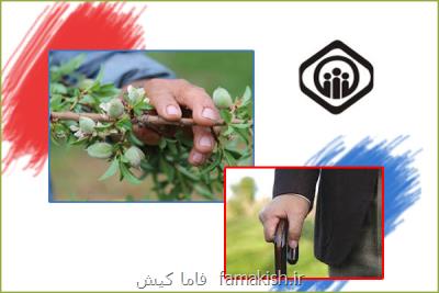 افزایش ۳۶ درصدی ضریب نفوذ بیمه ای در میان روستائیان هرمزگان