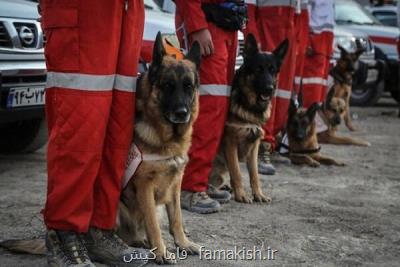 شرایط منطقه زلزله زده غرب هرمزگان در حال بررسی است
