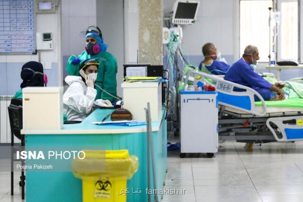 کرونا در هرمزگان می تازد