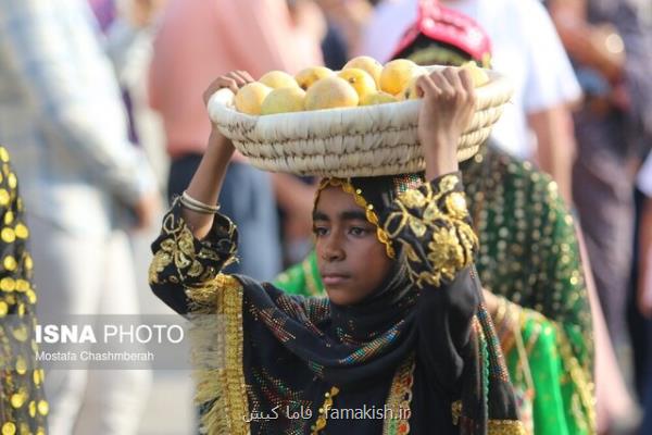 پارک ملت میناب مرکز کاشت انبه می شود