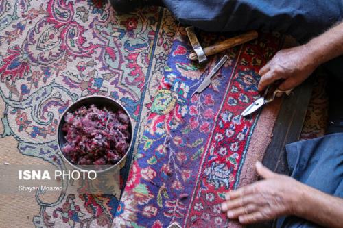 وضعیت فرهنگی و هنری فرش ایرانی بغرنج است