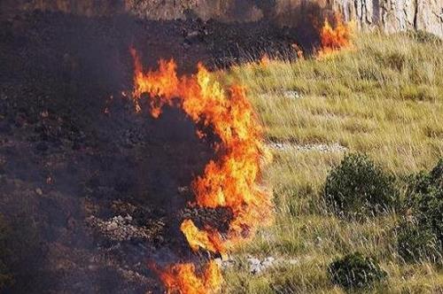 آتشسوزی در منطقه بخوان فارغان هرمزگان مهار گشت