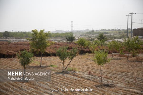 انعقاد تفاهم نامه همکاری منابع طبیعی با آموزش و پرورش هرمزگان