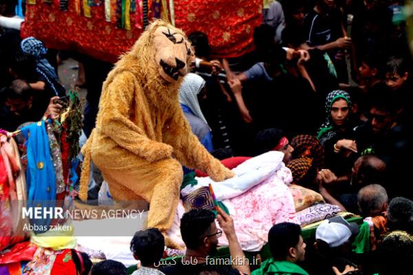 آغاز آیین سنتی شیر و کتل در میناب