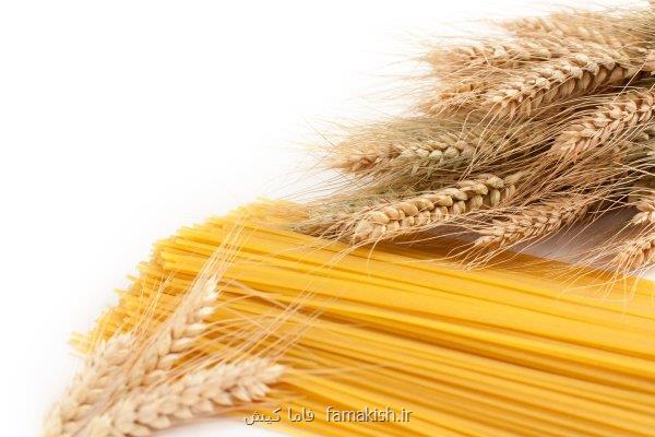 صادرات مستقیم از بندرلنگه به آفریقا محموله ماکارونی راهی بوصاصو شد