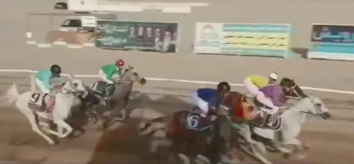 سوارکار هرمزگانی قهرمان کشور شد