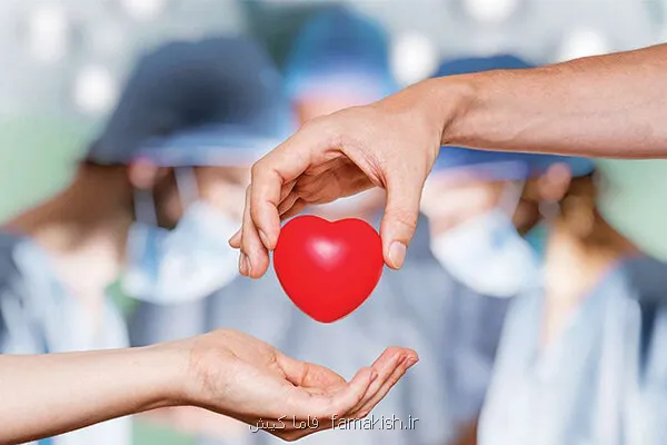 اهدای عضو دهمین جان آفرین هرمزگانی امسال