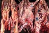 ۲۰۰تن گوشت آلوده در هرمزگان توقیف شد، ردپای شركت معروف تولیدی
