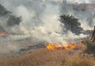 منطقه سرخ دره جنگل ابر آتش گرفت