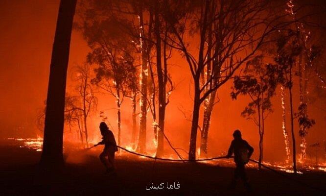 كلمه سال 2019 انتخاب گردید