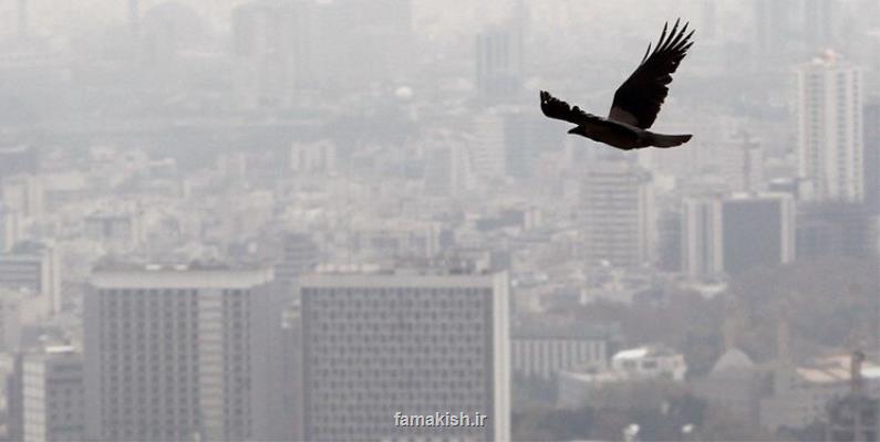 تهران از آغاز سال چند روز ناسالم داشته است؟