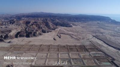 آغاز دوره دوم ذخیره سازی میگو در سایت های پرورش میگوی هرمزگان