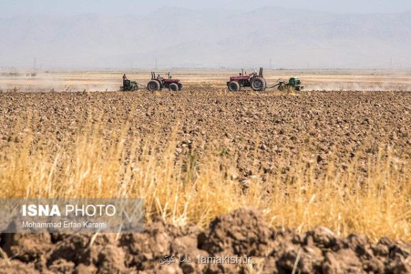 توزیع بیشتر از 11 میلیون لیتر مواد سوختی در شبكه تعاون روستایی بندرعباس