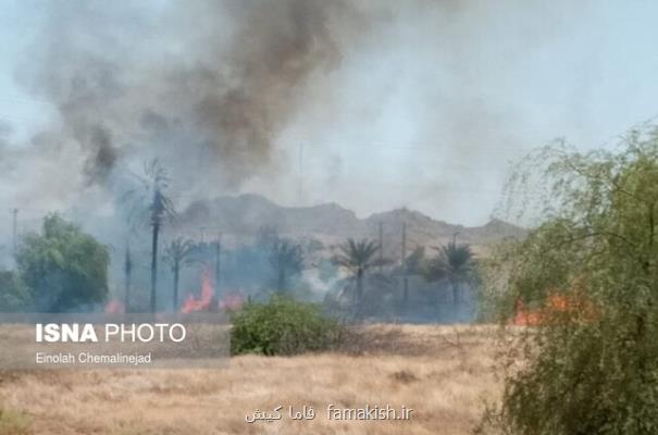 آتش به جان ایستگاه تحقیقات كشاورزی و منابع طبیعی میناب افتاد