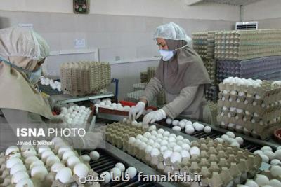 تعیین نرخ قیمت تخم مرغ های شناسنامه دار