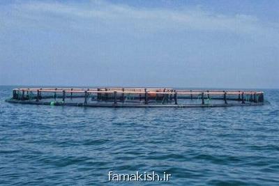 تدارك راه اندازی صنعت پرورش ماهی در قفس در جزیره كیش
