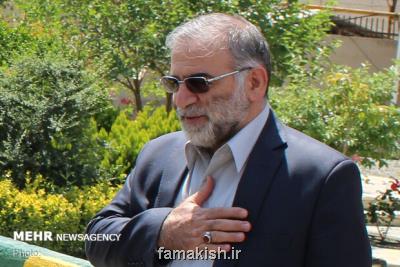 ترور دانشمندان هسته ای ایران اقدامی فتنه انگیز است
