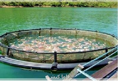 تولید ۴۵۰۰ تن ماهی به روش پرورش در قفس در هرمزگان